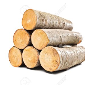 Beech Firewood