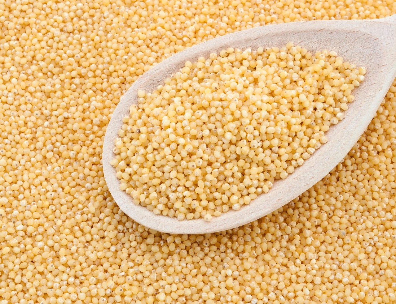 Hulled Yellow Millet