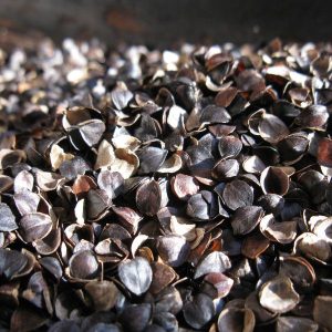 ROASTED BUCKWHEAT WITH HULL