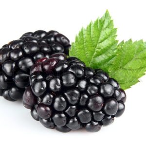 Fresh Blackberry
