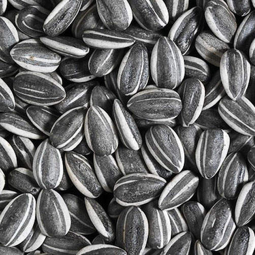 Grey Stripe Sunflower