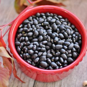 BLACK KIDNEY BEANS/POLISHED BLACK KIDNEY BEANS