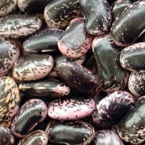 Black speckled kidney bean