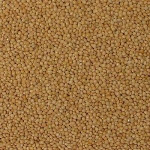 Hulled White Millet