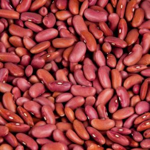Light red kidney bean