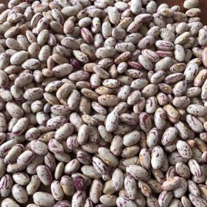 LIGHT SPECKLED KIDNEY BEANS (HUANAN ROUND)
