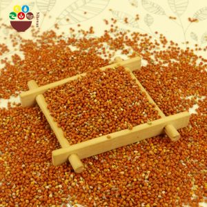 Hulled Red Millet