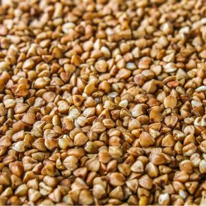 BUCKWHEAT KERNEL