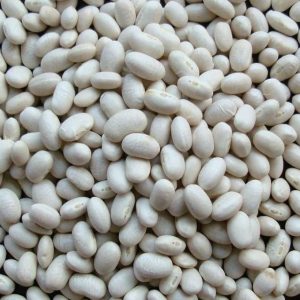 WHITE KIDNEY BEANS (JAPANESE TYPE)