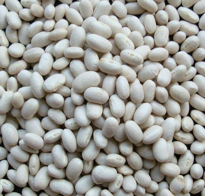 WHITE KIDNEY BEANS (JAPANESE TYPE)