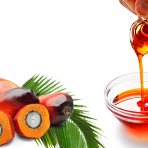 Crude Palm Oil