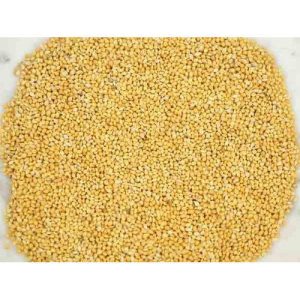 Polished Millet
