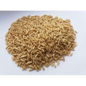 Dehulled Oats (Groats)