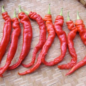 Chinese Red Pepper