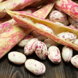 LIGHT SPECKLED KIDNEY BEANS (AMERICAN ROUND/CRANBERRY)
