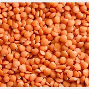 Red Lentil