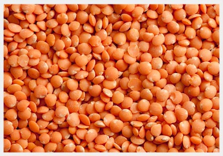 Red Lentil